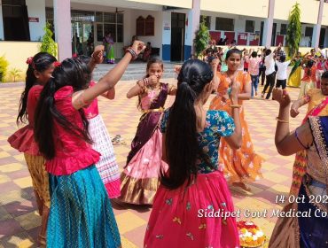 Bathukamma Celebrations (14)
