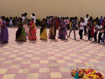 Bathukamma Celebrations (8)