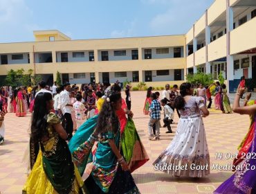 Bathukamma Celebrations (4)