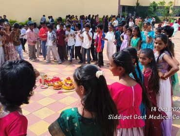 Bathukamma Celebrations (31)