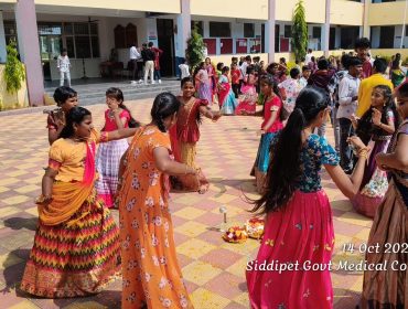 Bathukamma Celebrations (57)