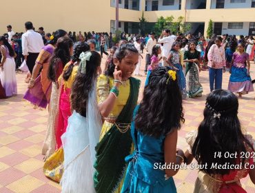 Bathukamma Celebrations (32)