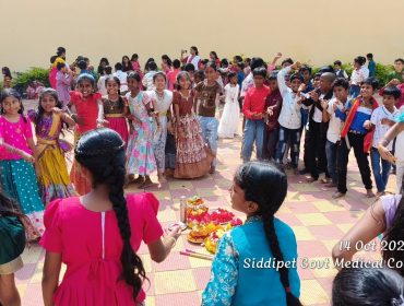 Bathukamma Celebrations (28)