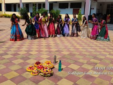 Bathukamma Celebrations (11)