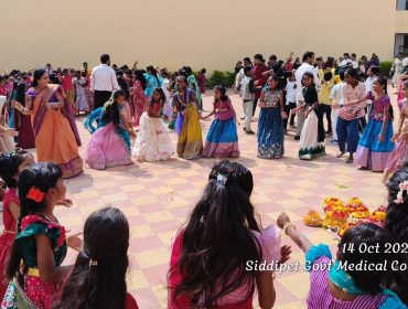 Bathukamma Celebrations (33)