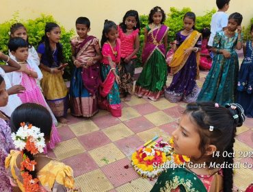 Bathukamma Celebrations (22)