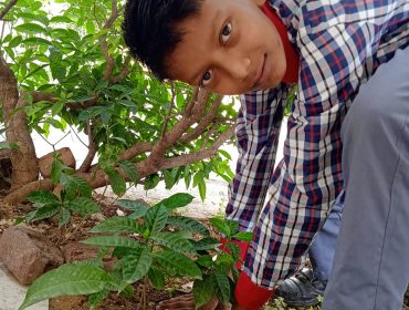 World Environment Day