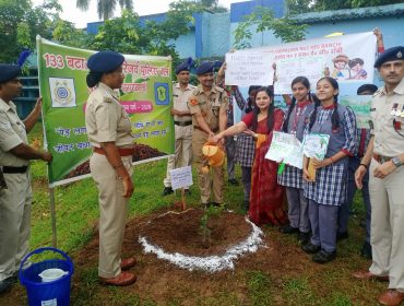 Tree Plantation