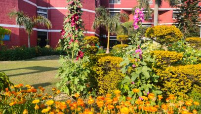 green school