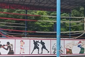 Boxing Rink