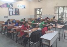 Essay writing