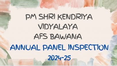 ANNUAL PANEL INSPECTION 2024