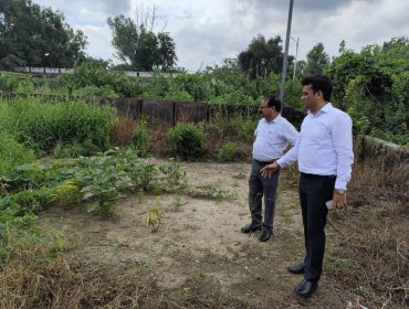 ANNUAL PANEL INSPECTION