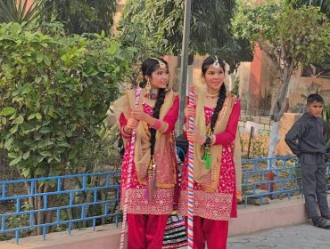 ANNUAL PANEL INSPECTION