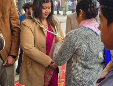 ANNUAL PANEL INSPECTION