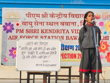 ANNUAL PANEL INSPECTION