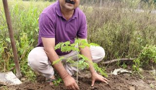 PLANTATION DRIVE