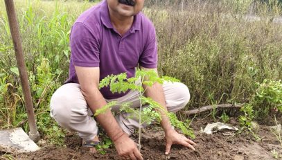 PLANTATION DRIVE