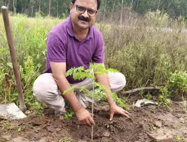 PLANTATION DRIVE