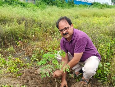 PLANTATION DRIVE