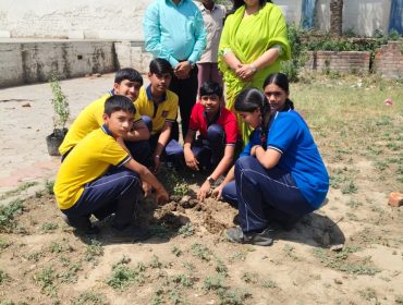 ECO CLUB ACTIVITY