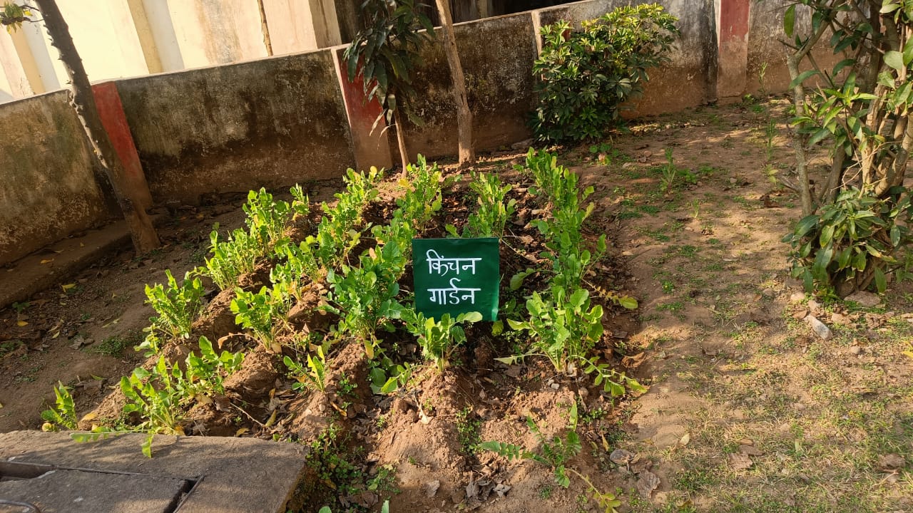 बागवानी