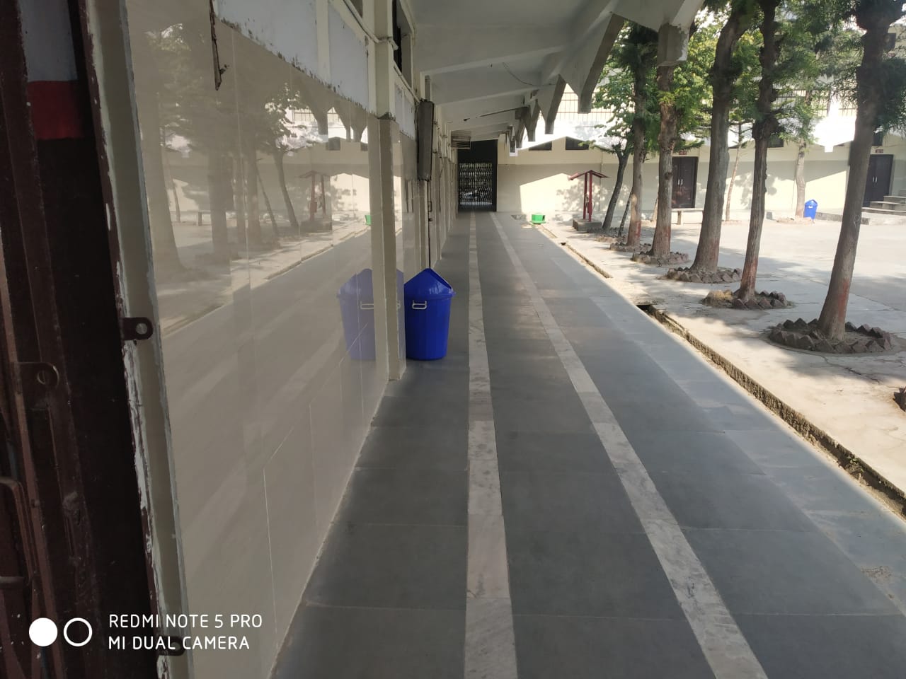 ग्रीन स्कूल को बढ़ावा देने वाली गतिविधि