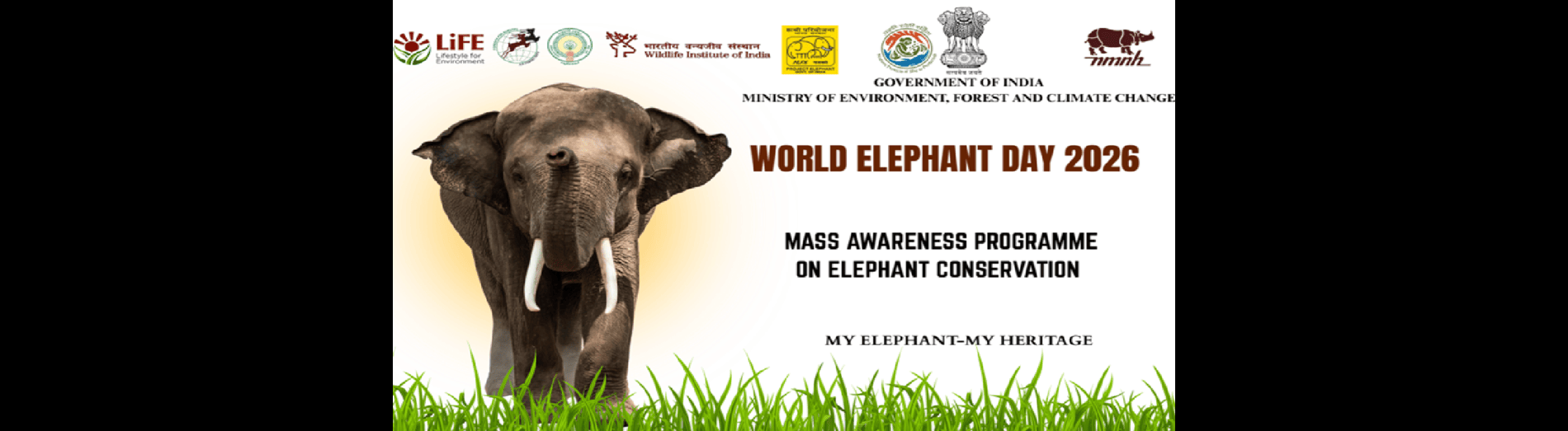 ELEPHANT DAY