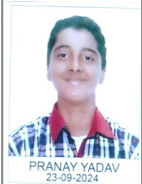 प्रणय यादव