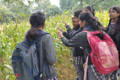 FIELD VISIT