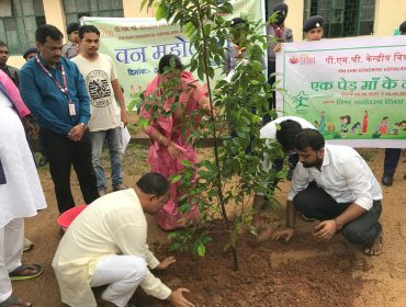 Plantation Drive Ek Ped Ma Ke Naam