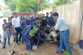 Plantation at Bus terminal