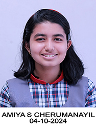 दसवीं तीसरा टॉपर अमिया