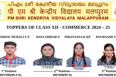 XII COMMERCE TOPPERS 2024 25