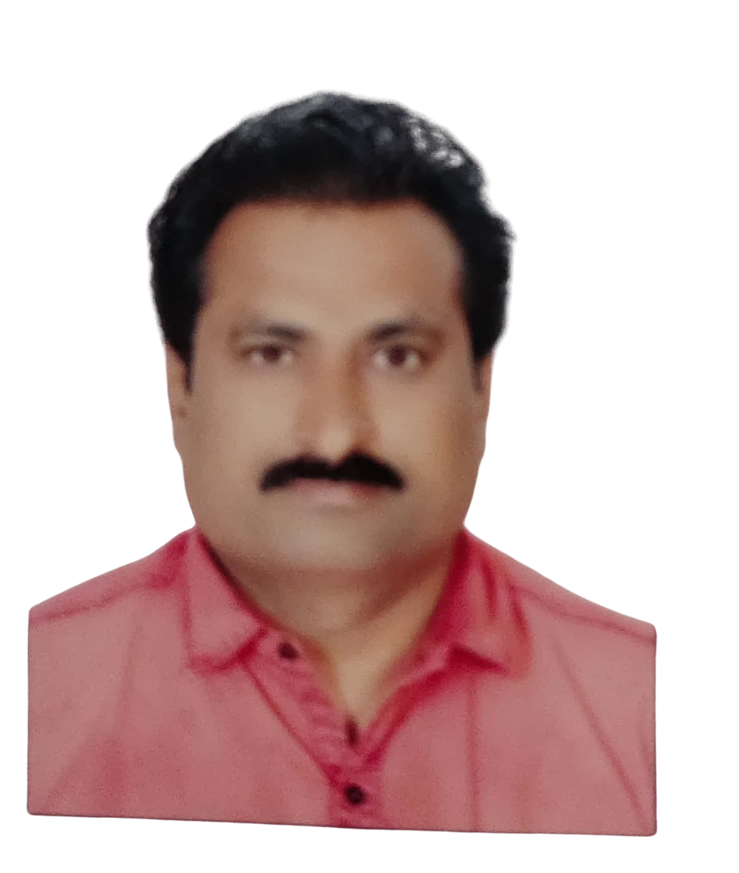 principal