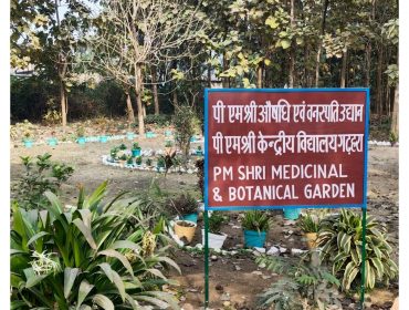 MEDICINAL GARDEN