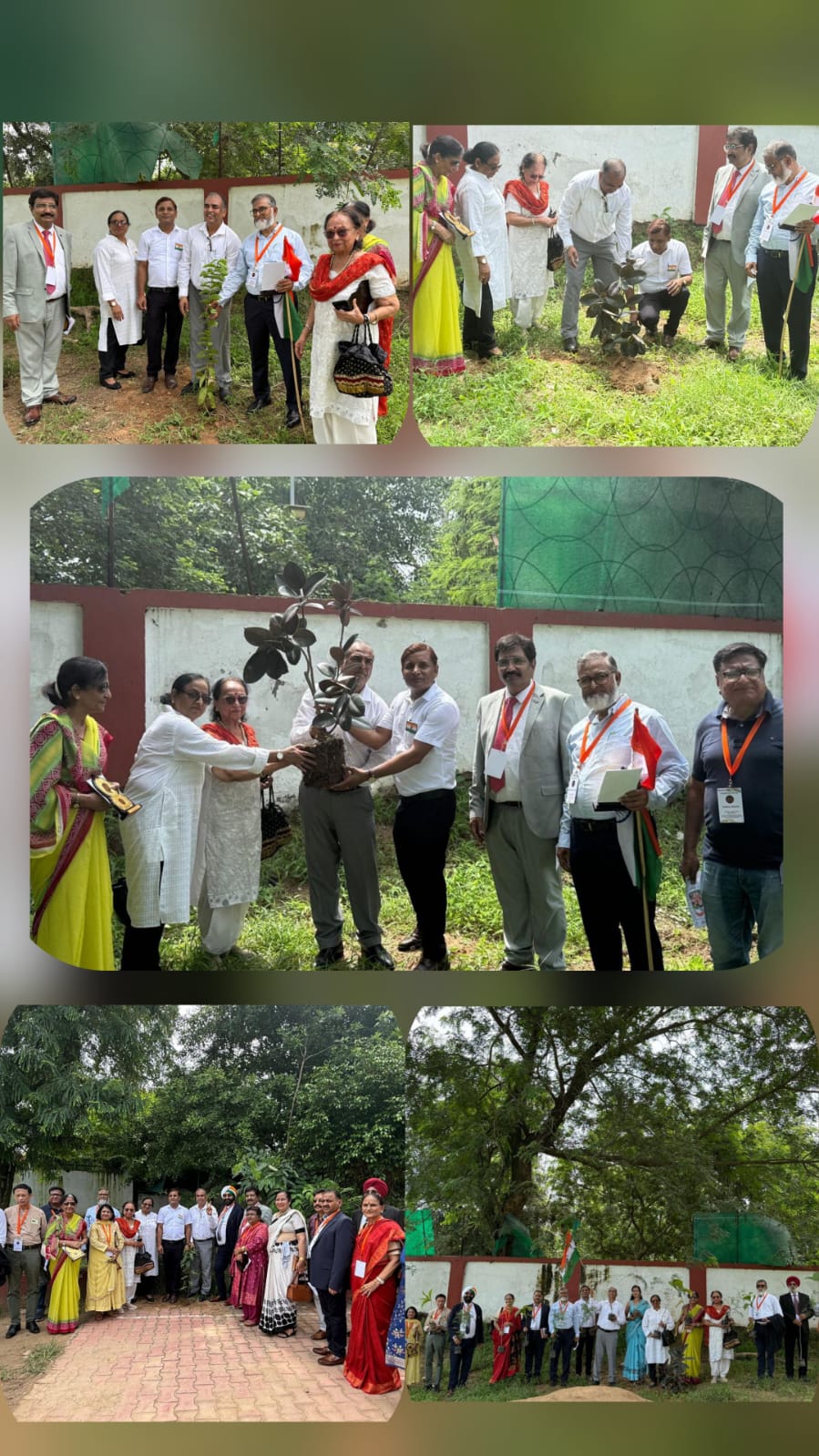 Tree Plantation