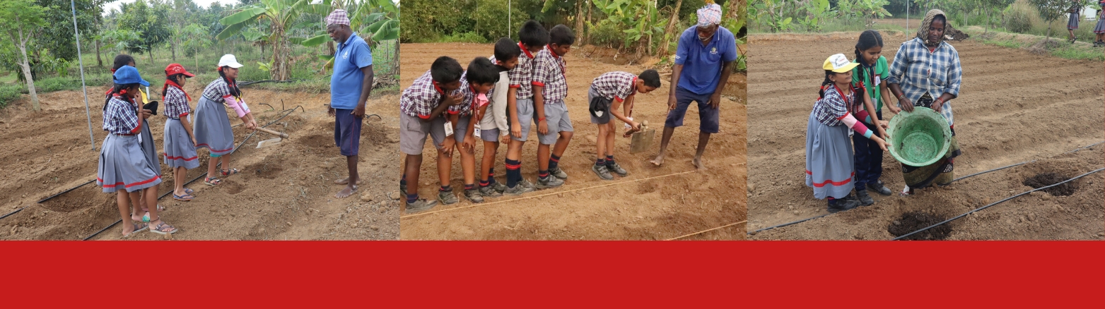 Little hands, big hearts – learning the value of hard work from our farmers!