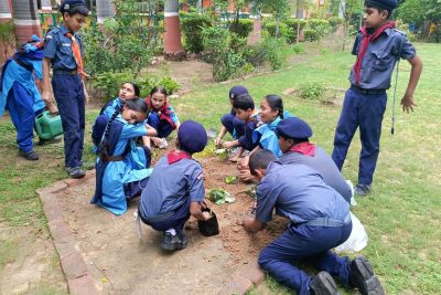 PLANTATION 2