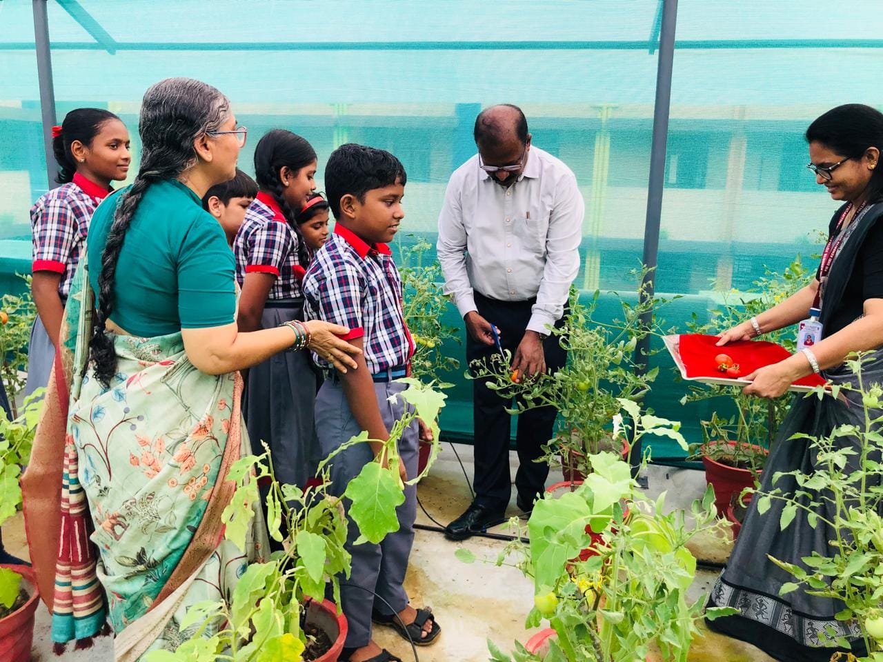 Terrace farming