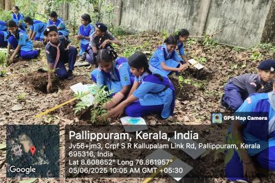 SCOUT AND GUIDE ACTIVITES