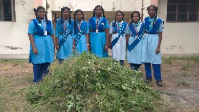 स्वच्छता कार्यक्रम