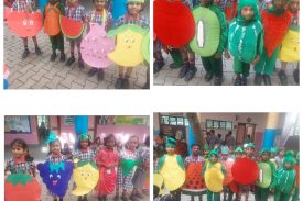 FUN DAY - FANCY DRESS FRUITS