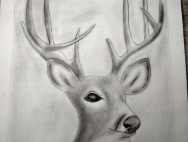 Art and Craft