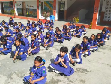 कब बुलबुल गतिविधि