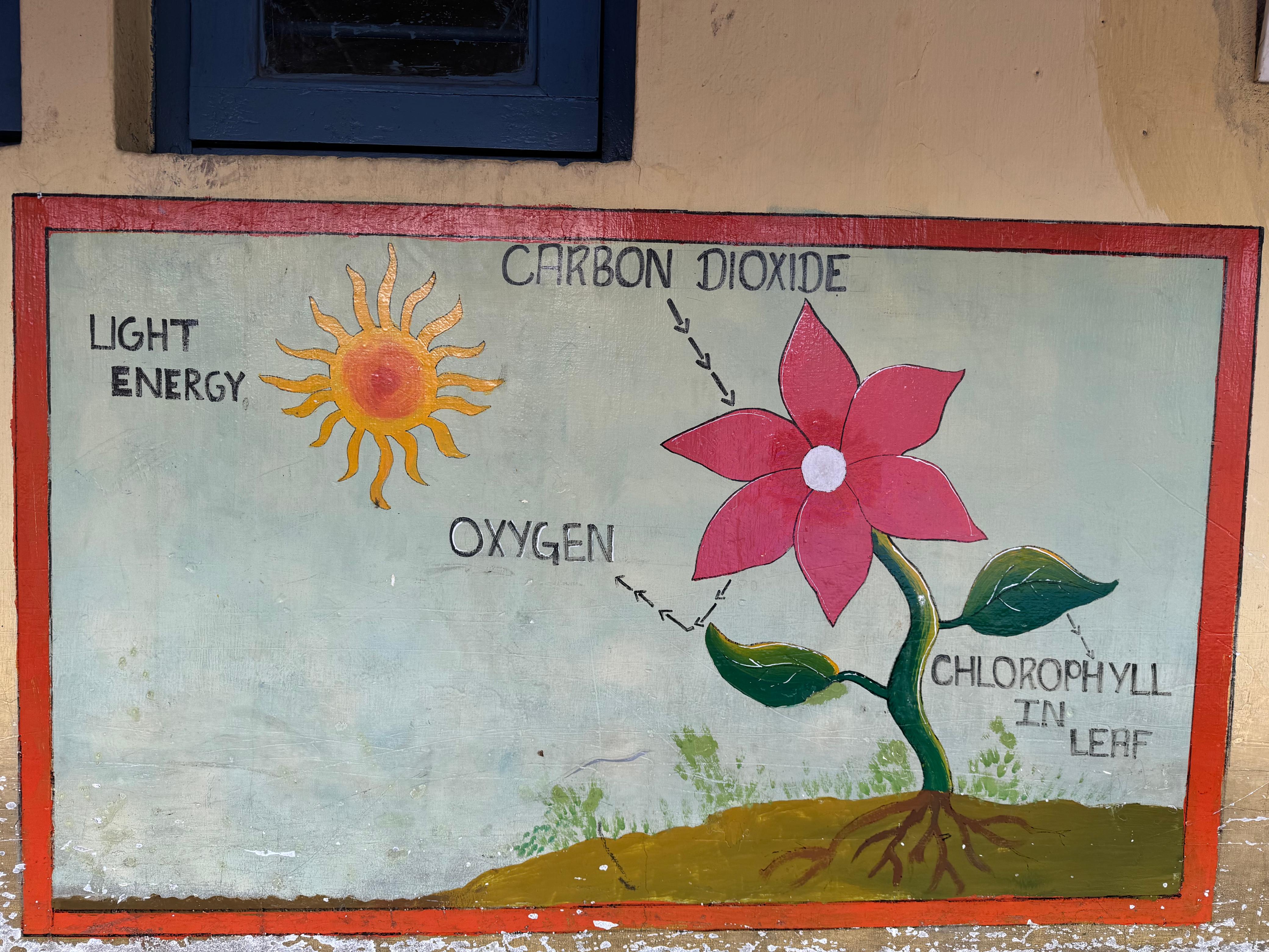 बाला-पहल