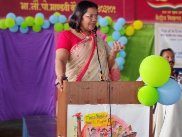 वार्षिक पैनल निरीक्षण