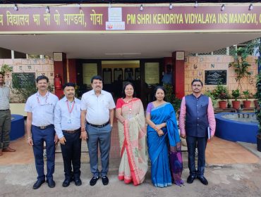वार्षिक पैनल निरीक्षण