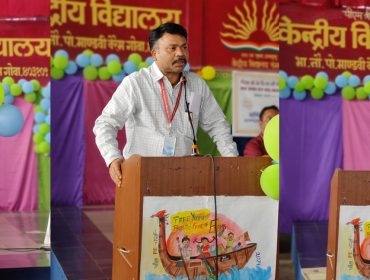 वार्षिक पैनल निरीक्षण