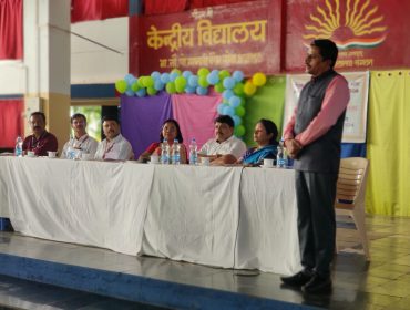 वार्षिक पैनल निरीक्षण
